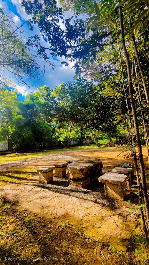 Jay'S Avenue Udawalawe Exterior foto