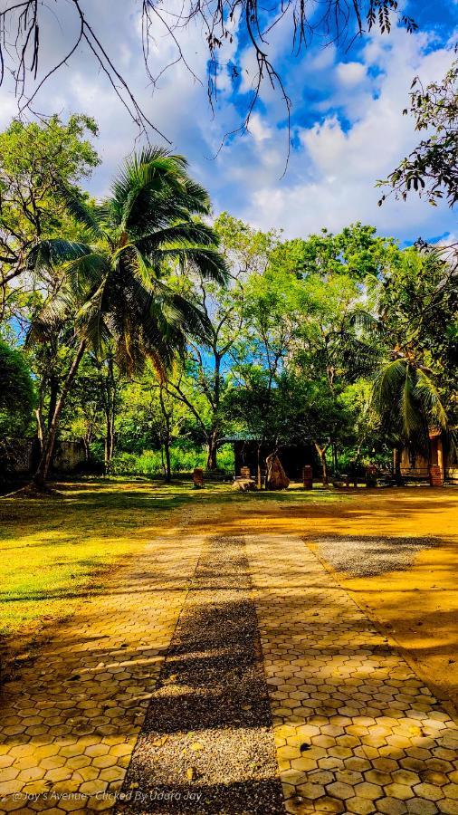 Jay'S Avenue Udawalawe Exterior foto
