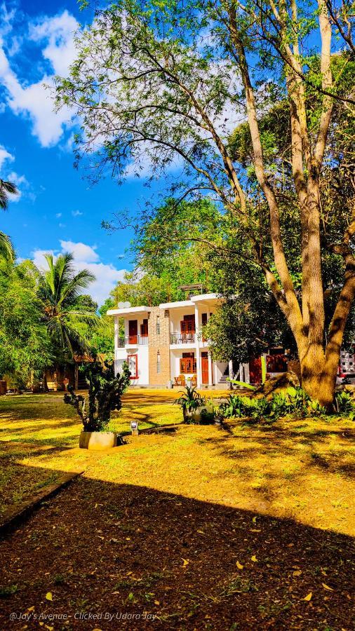 Jay'S Avenue Udawalawe Exterior foto