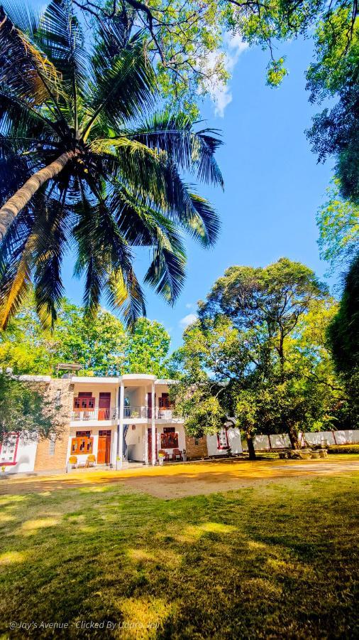 Jay'S Avenue Udawalawe Exterior foto